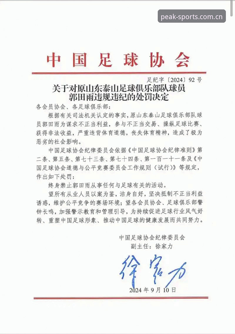足协第三批禁足名单深度分析：65人受罚背后的中国足球反腐风暴全面解析
