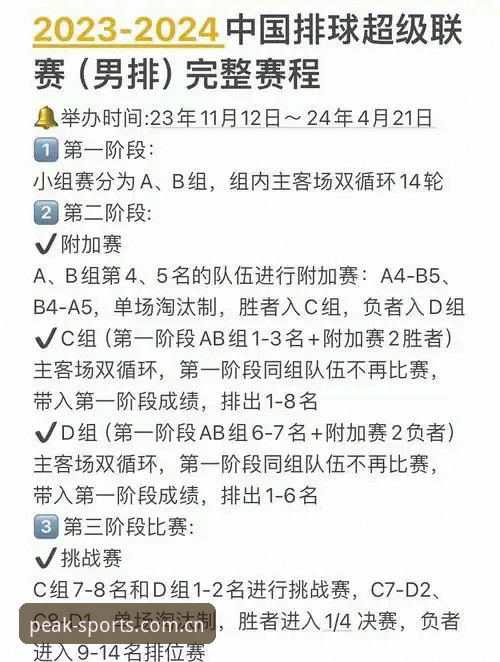 5步掌握体育联赛排名怎么看功能详解——从数据迷雾到实力巅峰